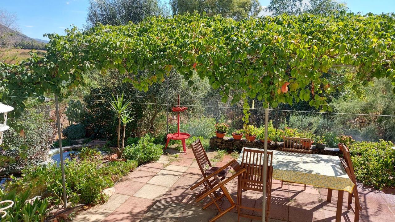 Sa Domu 'E Pisittu Apartment Iglesias Bagian luar foto